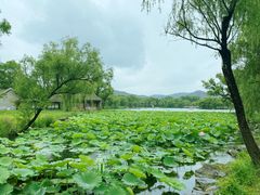 -承德避暑山庄景区