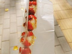 -三里屯东五街银杏大道