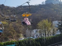 -富斯特索道
