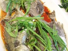 陈皮蒸泥蜢-龙溪海鲜酒家(溪涌店)