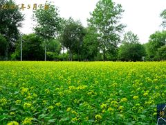 -北坞公园