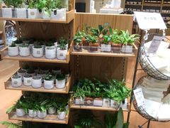 -MUJI无印良品(环球港店)