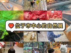 -上海大自然野生昆虫馆(东方明珠·爬宠昆虫探索中心)