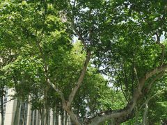 -南京钟山宾馆(江苏省会议中心)