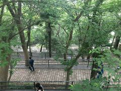 -上海佘山国家森林公园西佘山园