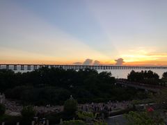 -宝安西湾红树林湿地公园