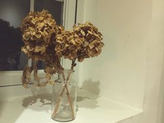 -素咫咖啡CLIFEROSE