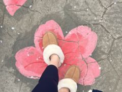 -高东镇樱花园