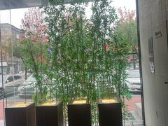 -新紫霞养生·影院足道·SPA(金山区店)