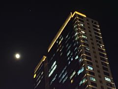 -文叔·湖北名小吃·小龙虾(华强北店)