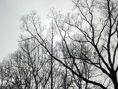 -习家池