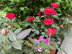 -大妙火锅·非物质文化遗产(东湖公园店)