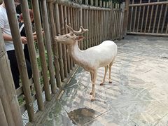 -金沙遗址博物馆