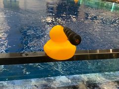 -SHRIMP CLUB万东餐饮钓虾·清吧