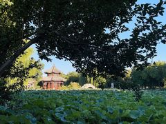 -莲池书院博物馆