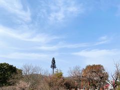 -白马涧龙池景区