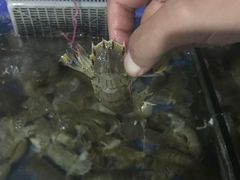 -海天一色海景自助餐厅(西港花园店)