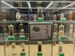 -广东中医药博物馆