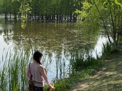-白鹭湾湿地公园