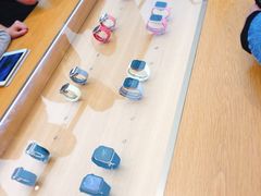 -Apple 零售店(Canton Road)