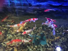 -青岛海底世界-水族馆