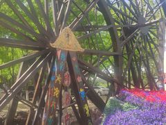 -呀路古热带植物园