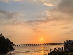 -宝安西湾红树林湿地公园