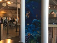 -悉尼海洋生物水族馆
