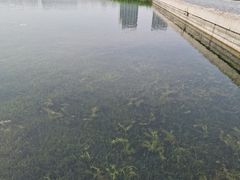 -尚贤河湿地