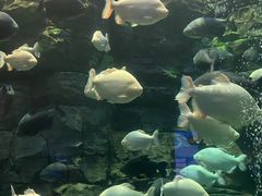 -成都浩海立方海洋公园