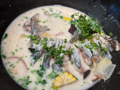 -鲜潭蒸汽石锅鱼(五道口购物中心店)