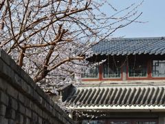 -三里河公园