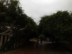 -眉山湿地公园(东坡区)