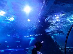 -太平洋海底世界