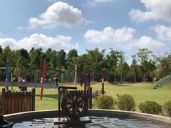 -上海长兴岛郊野公园