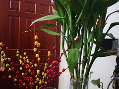 -秦美花卉(天朗·莱茵小城2期店)