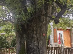 -康陵正德春饼宴26号