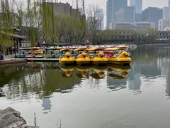 -团结湖公园