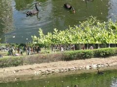 -长白岛森林公园