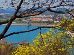 -水濂山森林公园