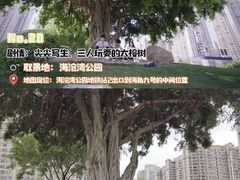 -味友·厦门味(杏林湾店)