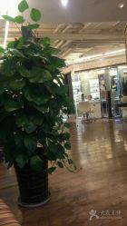 iphone_upload_pic-東田造型