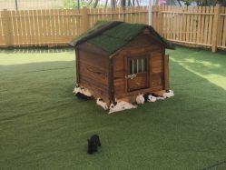 -萌宠亲子动物乐园(槐房万达店)