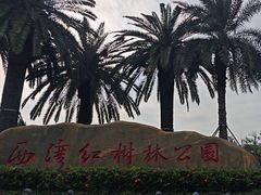 -宝安西湾红树林湿地公园