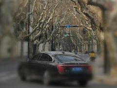 -花马天堂云南餐厅 Lost Heaven(高邮路店)