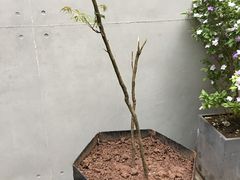 -箱美术馆私房菜(水晶郦城店)