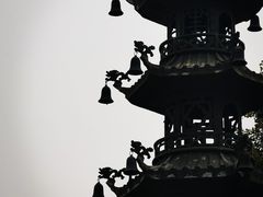 -天津大悲禅院