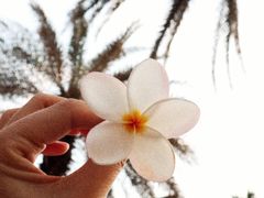 -三亚湾红树林度假世界(木棉酒店)
