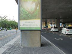 -厦门高崎国际机场-T3航站楼