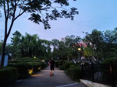-马濠公园